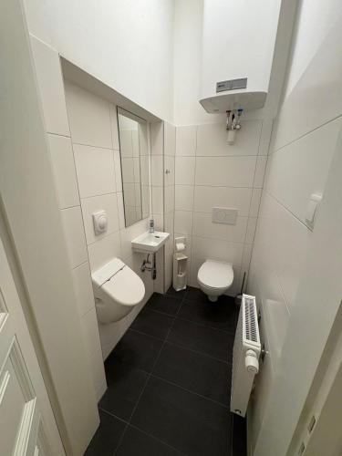 a small bathroom with a toilet and a sink at Premium Apartment in Altstadtnähe in Graz