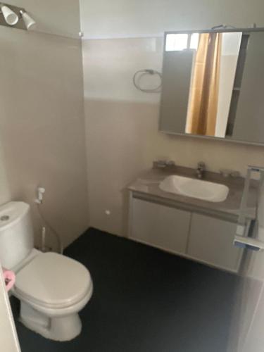 a bathroom with a white toilet and a sink at Apartment in Montagne Charlot with a stunning view of the lagoon in Port Mathurin