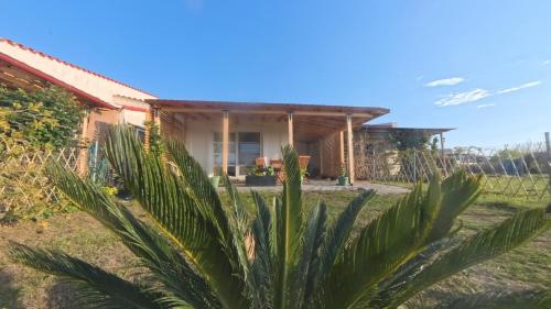 a house with a palm tree in front of it at Ana Maria Boutique House in Samothráki