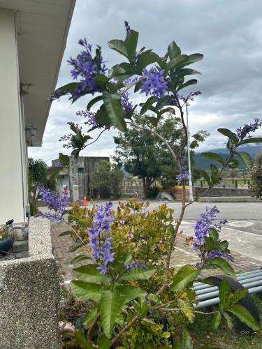 Zahrada ubytování Xian Qing Yu Zhi Homestay
