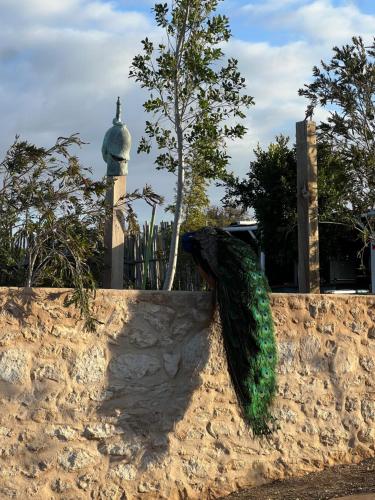 a sculpture of a fish on a stone wall at Romantic Best View - Saïss Bay Estate - Coco Green in Sidi Kaouki