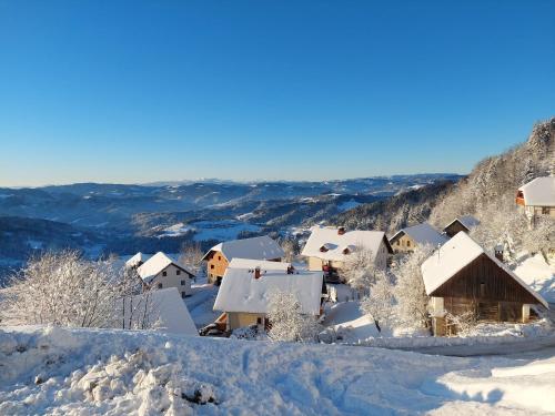a village covered in snow on a mountain at Apartma Pri Tavčarju in Poljane nad Škofjo Loko