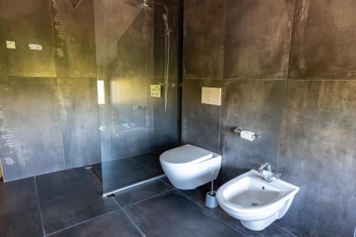 a bathroom with a toilet and a sink at LivingIn Delta - Casa de Vacanta in Crisan