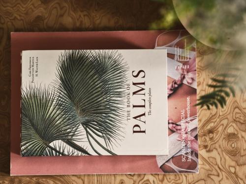 a book with a palm plant on it at Apollo Palm Hotel in Athens