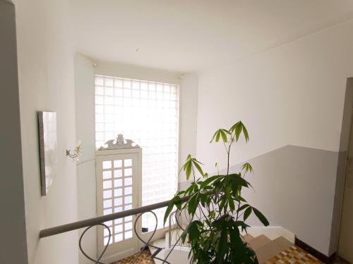 ein Zimmer mit einer Pflanze vor einem Fenster in der Unterkunft Chambre SIGOU in Sigoulès