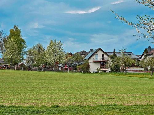 a field of green grass with houses in the background at Ferienwohnung Köhler Heymann in Dornholzhausen