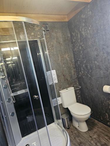 a bathroom with a toilet and a shower at Domek letniskowy brązowy -całoroczny in Stegers