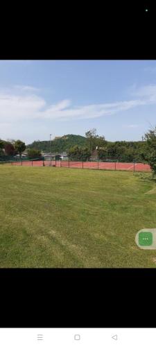 a baseball field with a green frisbee on it at Chalet 5 personnes avec piscine in Yvoir