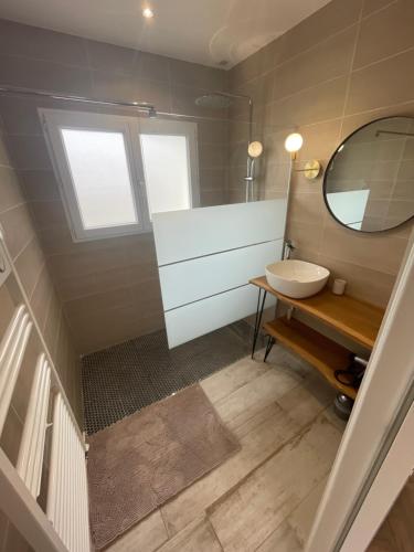 une salle de bain avec un lavabo et un miroir dans l'établissement Appartement Magnolia, à Brive-la-Gaillarde