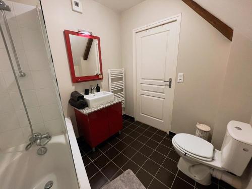 une salle de bain avec toilettes, lavabo et miroir dans l'établissement Appartement au cœur du centre ville, à Saumur