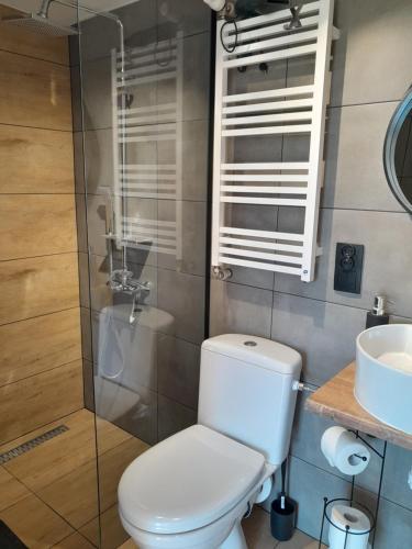 Ένα μπάνιο στο Apartamenty w Pieninach - studio 2 osobowe