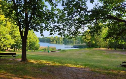 a park with benches and a lake in the background at Ferienhaus Nachtigall in Schorfheide