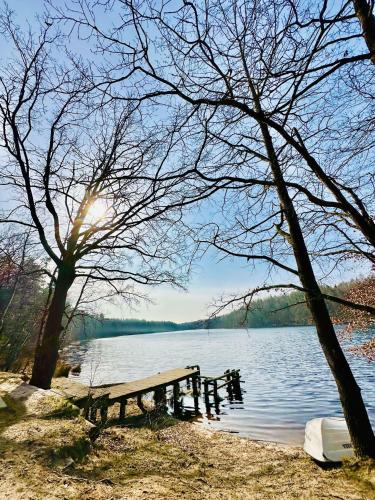a picnic table sitting on the shore of a lake at Domek letniskowy Iwonka in Zbychowo