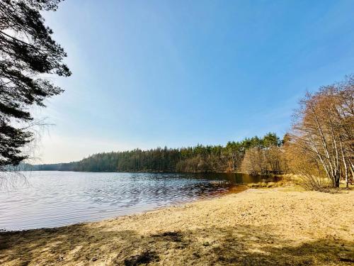 a view of a lake with trees on the shore at Domek letniskowy Iwonka in Zbychowo
