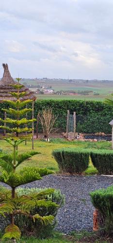 a garden with a pine tree in a field at Bougainvilla Guesthouse in Sidi Moussa Ben Ali