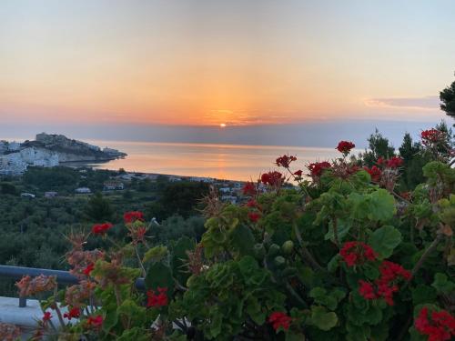 a sunset over the ocean with flowers in the foreground at Dreaming Penthouse in Vieste