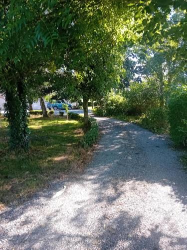 a gravel road with trees on either side at Annaswood B&B in Cahir