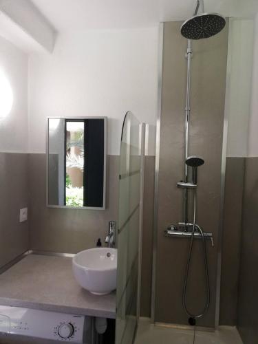 une salle de bain avec un lavabo et une douche dans l'établissement T2 log entier Porticcio 35m piscine-mer-resto 400m, à Grosseto-Prugna