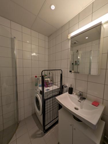 a bathroom with a sink and a washing machine at Spacious and cozy studio apartment with balcony in Oslo