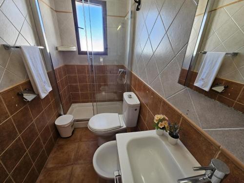 a bathroom with a toilet and a sink and a shower at ref. 17 la colmena in Zahara de los Atunes