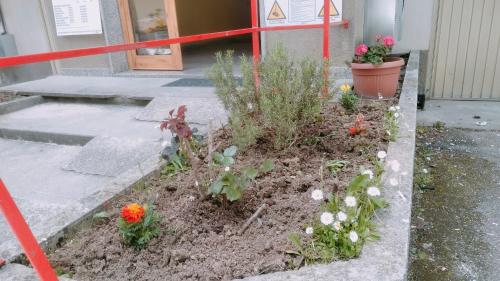 Appartamento relax Svitlanaにある庭