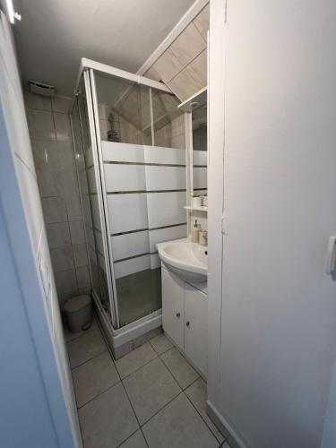 une salle de bain avec douche et lavabo dans l'établissement Le cottage, à Canapville
