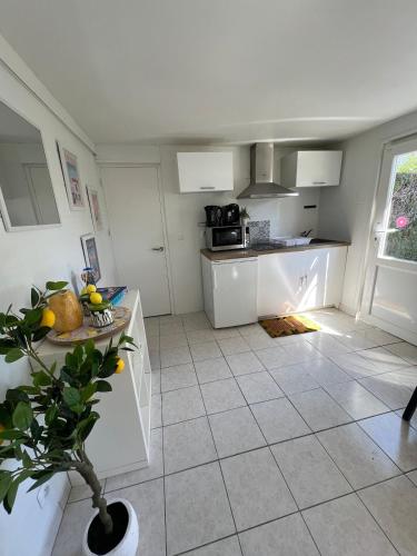une cuisine avec des armoires blanches et une plante en pot dans l'établissement Le cottage, à Canapville