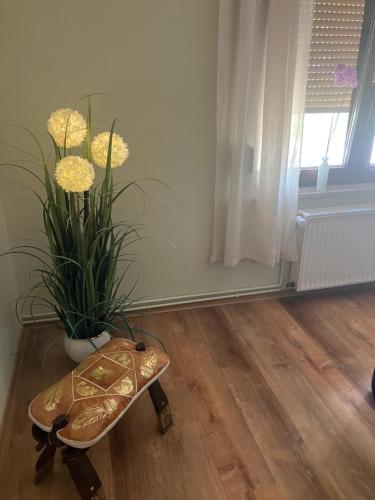 a room with a bench and a potted plant at Elb- Havel Ferienhaus in Schönhausen