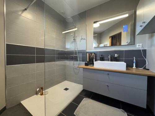 Un baño con lavabo y ducha en Chez Choco - 8pers - Circuit Bugatti - Rêve au Mans, en Voivres-lès-le-Mans