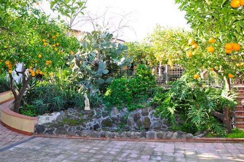 Jardín al aire libre en TK HOTEL - ex Ares