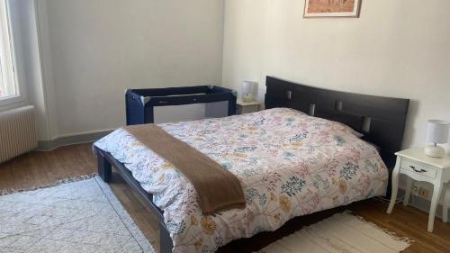 Gallery image of Appartement spacieux cosy centre Epinal !!! in Épinal