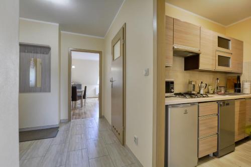 a kitchen with wooden cabinets and a counter top at SkiBike House Stronie Śląskie in Stronie Śląskie
