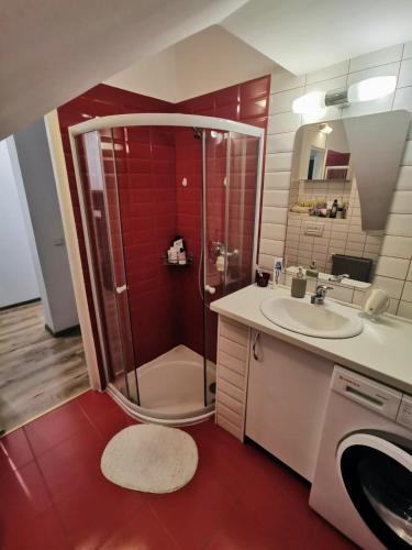 a bathroom with a shower and a sink at House with a garden in Pipera in Bucharest