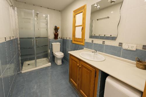 a bathroom with a sink and a toilet and a shower at Apartamento Casa Pilar in Ribadesella