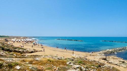 Elegant beachside apt - 1 min walk to Venus beach