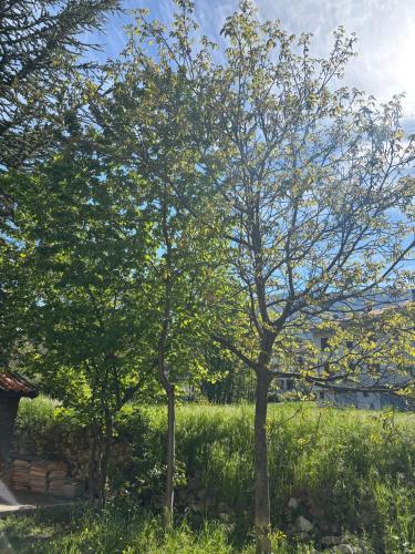 Κήπος έξω από το Il Giardino di Sant'Eufemia