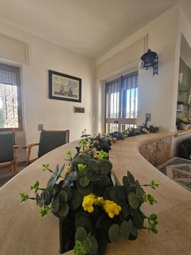a long table with a bunch of plants on it at Casa Vacanze Nonna Nina in Casalabate