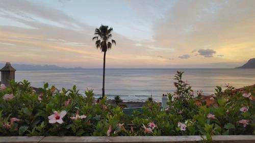 a palm tree and flowers in front of the ocean at Sea Loft in St James