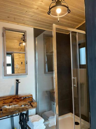 a bathroom with a shower and a glass shower backdoor at Casa de pe Lac - La noi la munte in Mătişeşti