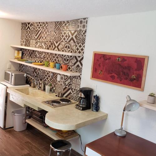 Кухня или кухненски бокс в Cactus Loft