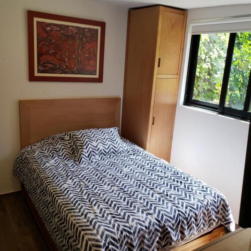 Легло или легла в стая в Cactus Loft