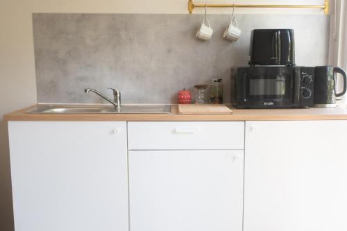 Kuchyň nebo kuchyňský kout v ubytování Modern Guest Suite with Kitchenette near Belfast