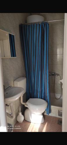 a bathroom with a toilet and a shower and a sink at Casa del Mare in Ulcinj