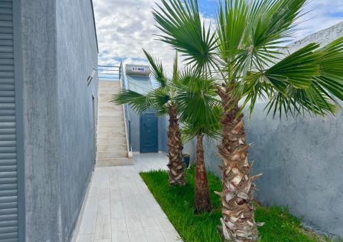 a pair of palm trees in front of a building at Villa Naouma in Marrakech