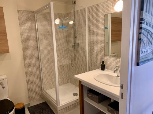 une salle de bain avec douche et lavabo dans l'établissement Au coeur de Troyes, Atelier de la Cathédrale, à Troyes