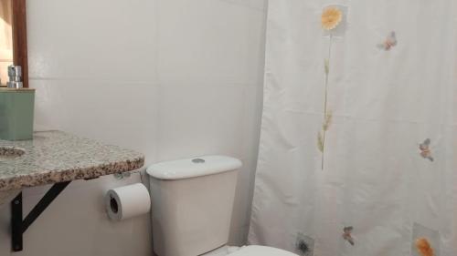 a white bathroom with a toilet and a shower at Finca Cielo Verde in Chicoana