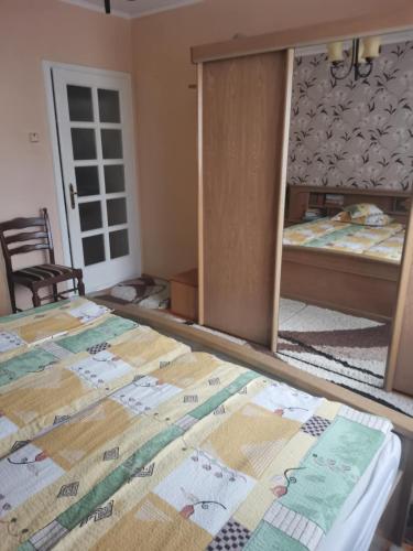 a bedroom with two beds and a mirror at Sólyom Katalin vendégház in Văleni