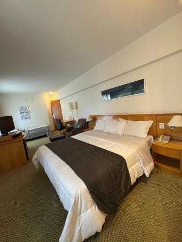 a bedroom with a large bed in a hotel room at Hotel & Residência Alphaville in Barueri