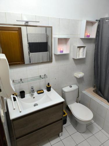 une salle de bain avec un lavabo, des toilettes et un miroir dans l'établissement Maison de campagne, à La Motte-en-Beauges