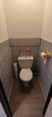 La petite salle de bains est pourvue de toilettes et de murs carrelés. dans l'établissement Magnifique studio style montagnard, à Thollon-les-Mémises